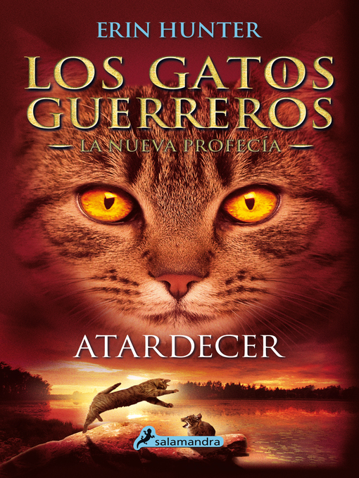 Cover image for Atardecer